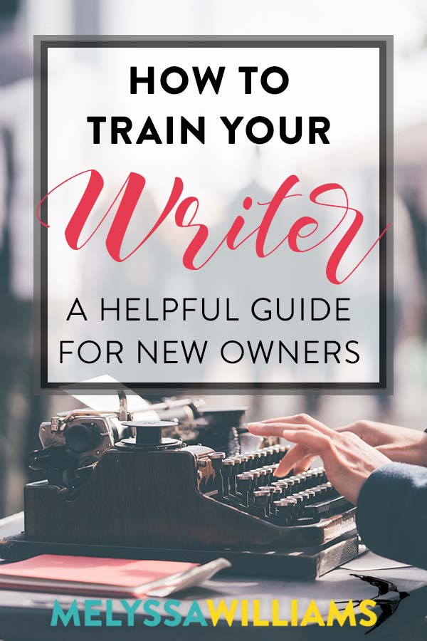 Are you the proud owner of a writer? Then you will appreciate this helpful guide