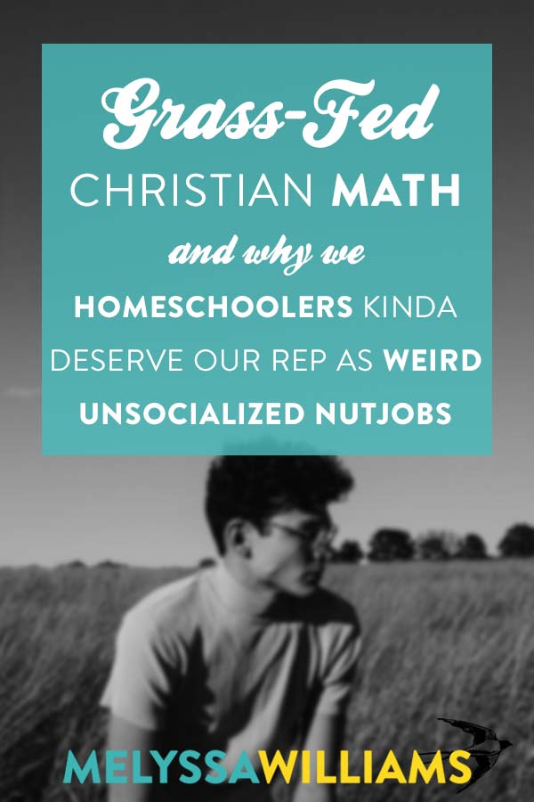 Why we Christian homeschoolers may sometimes deserve our rep as antisocial weirdos