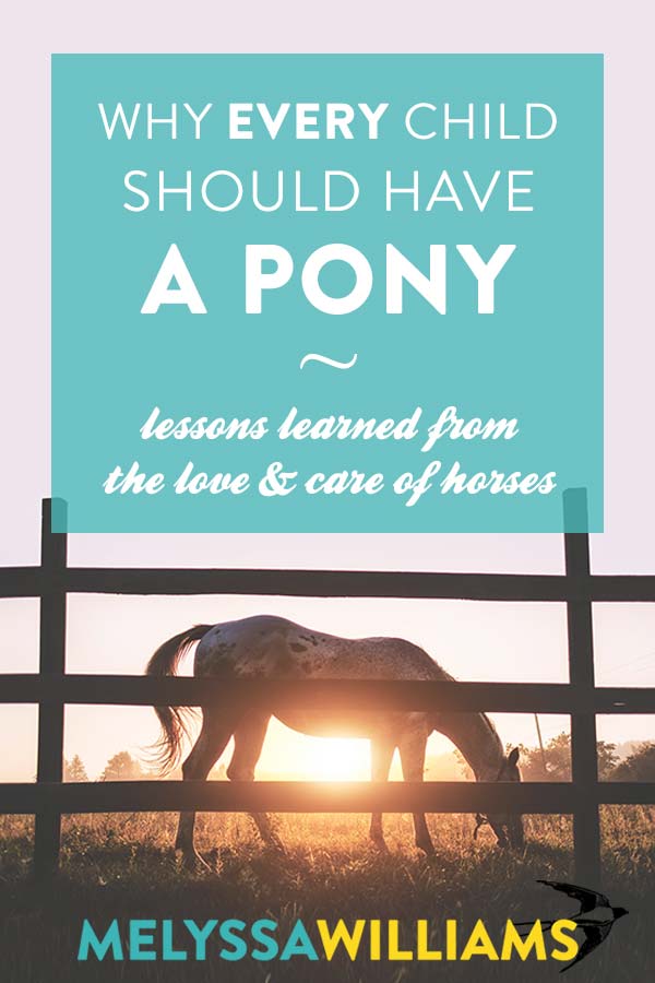 Why every child should have a pony
