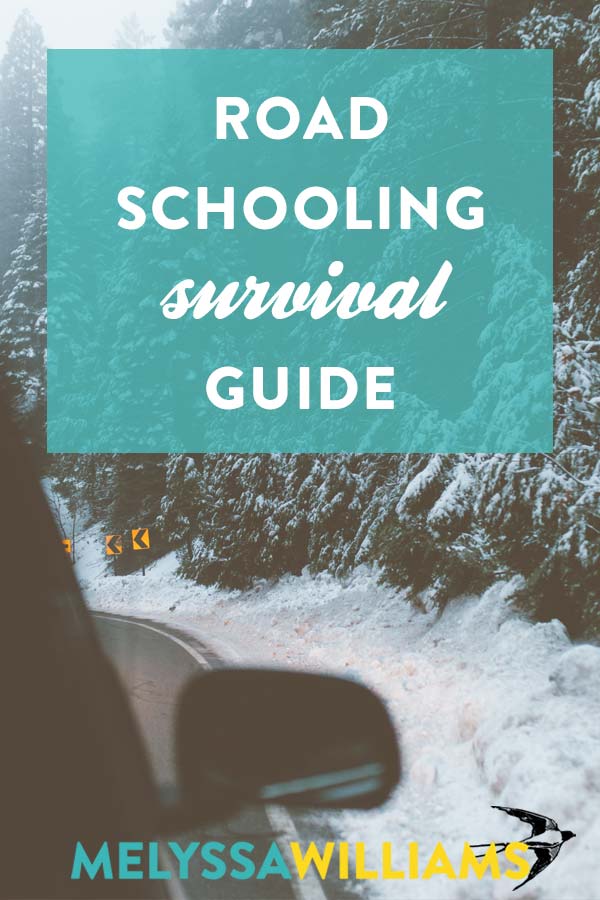 Roadschooling Guide